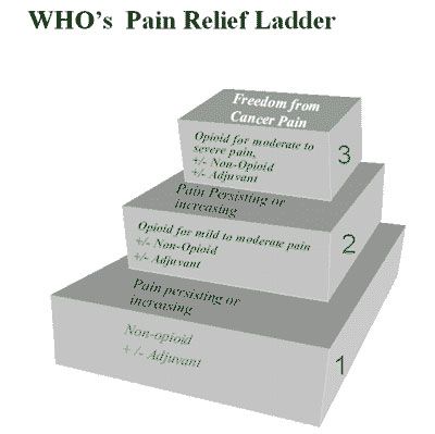pain ladder.jpg